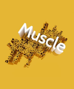 Muscle Relaxant